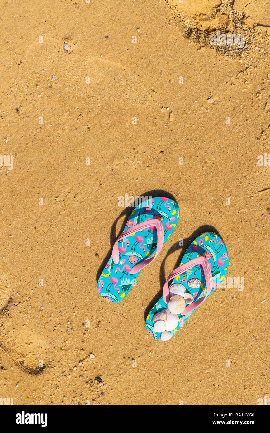 flip flops with seashells on the beach Stock Photo