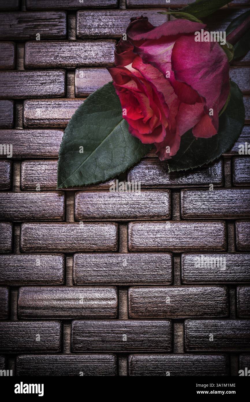 Red natural rose on wicker wooden place mat vertical version Stock ...