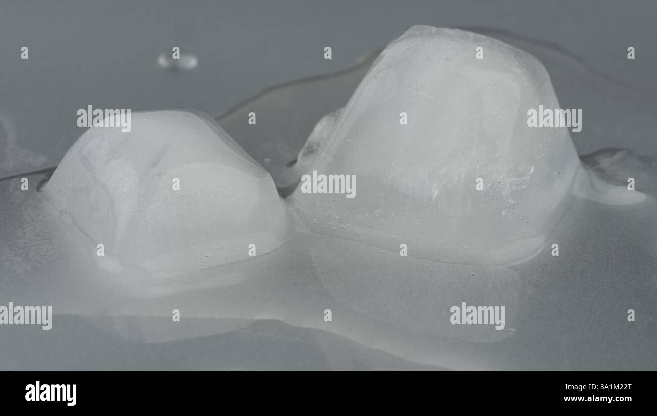 Two melted ice cubes in water macro close up view Stock Photo