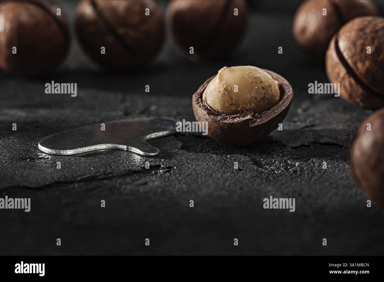 Opened Macadamia Nut And Opener Key For Open It Stock Photo