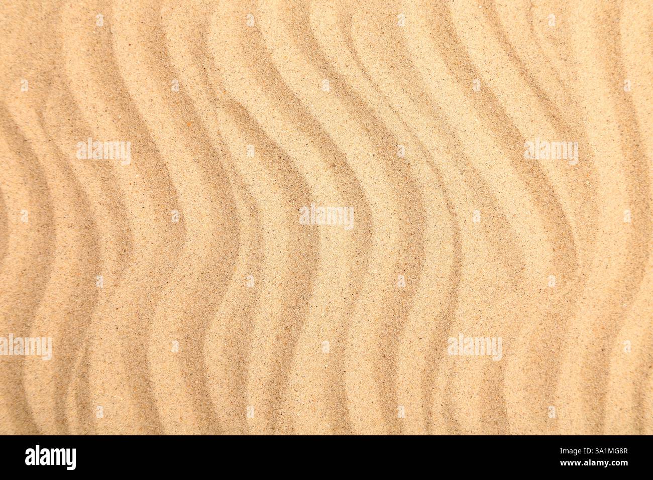 Seamless sand on a whole background. Texture. Stock Photo