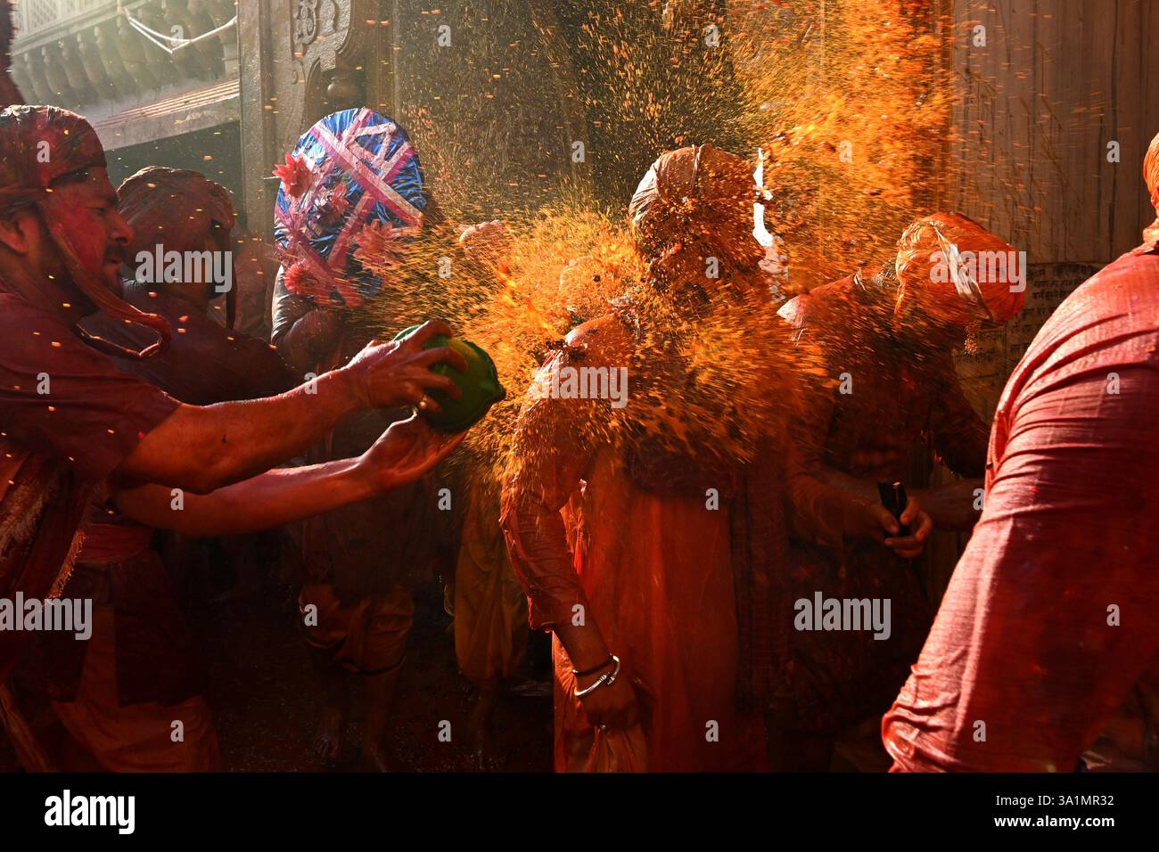 holi 2025 powder