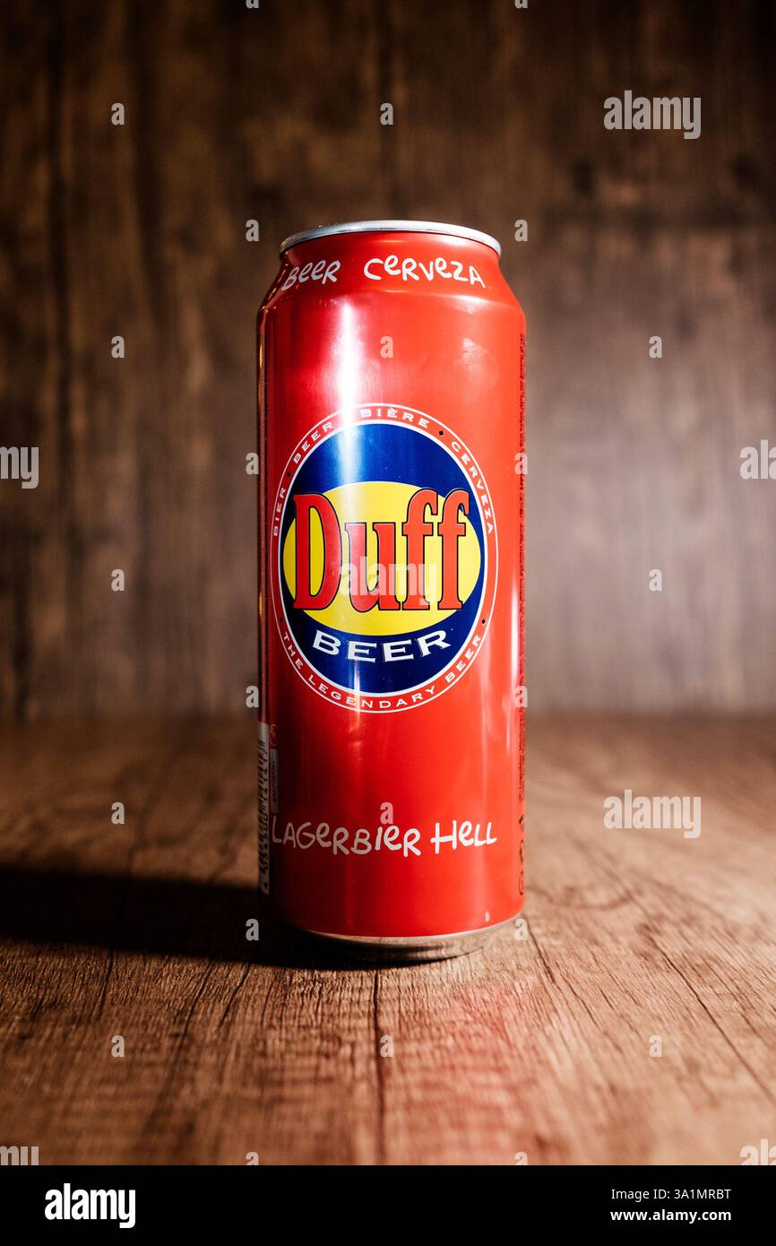 Duff Beer Kostm
