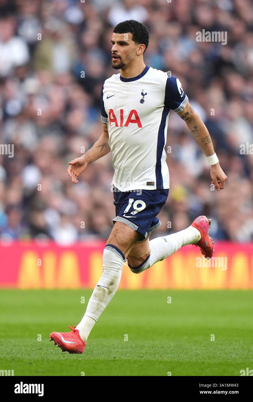 Tottenham Hotspur's Dominic Solanke during the Premier League match at ...