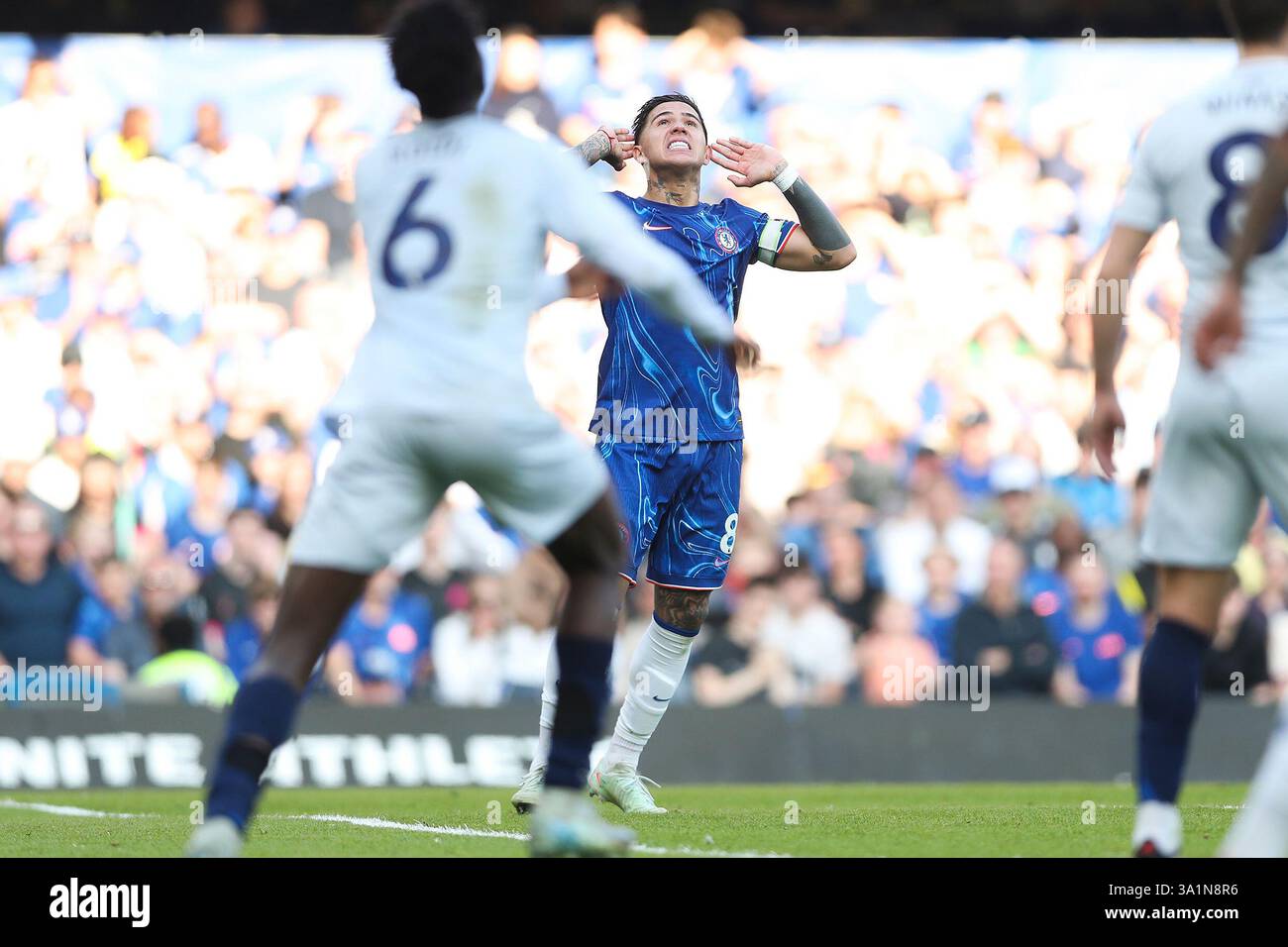 Enzo Fernandez Of Chelsea FC Celebrates Chelsea s Goal During The enzo-fernandez-of-chelsea-fc-celebrates-chelsea-s-goal-during-the