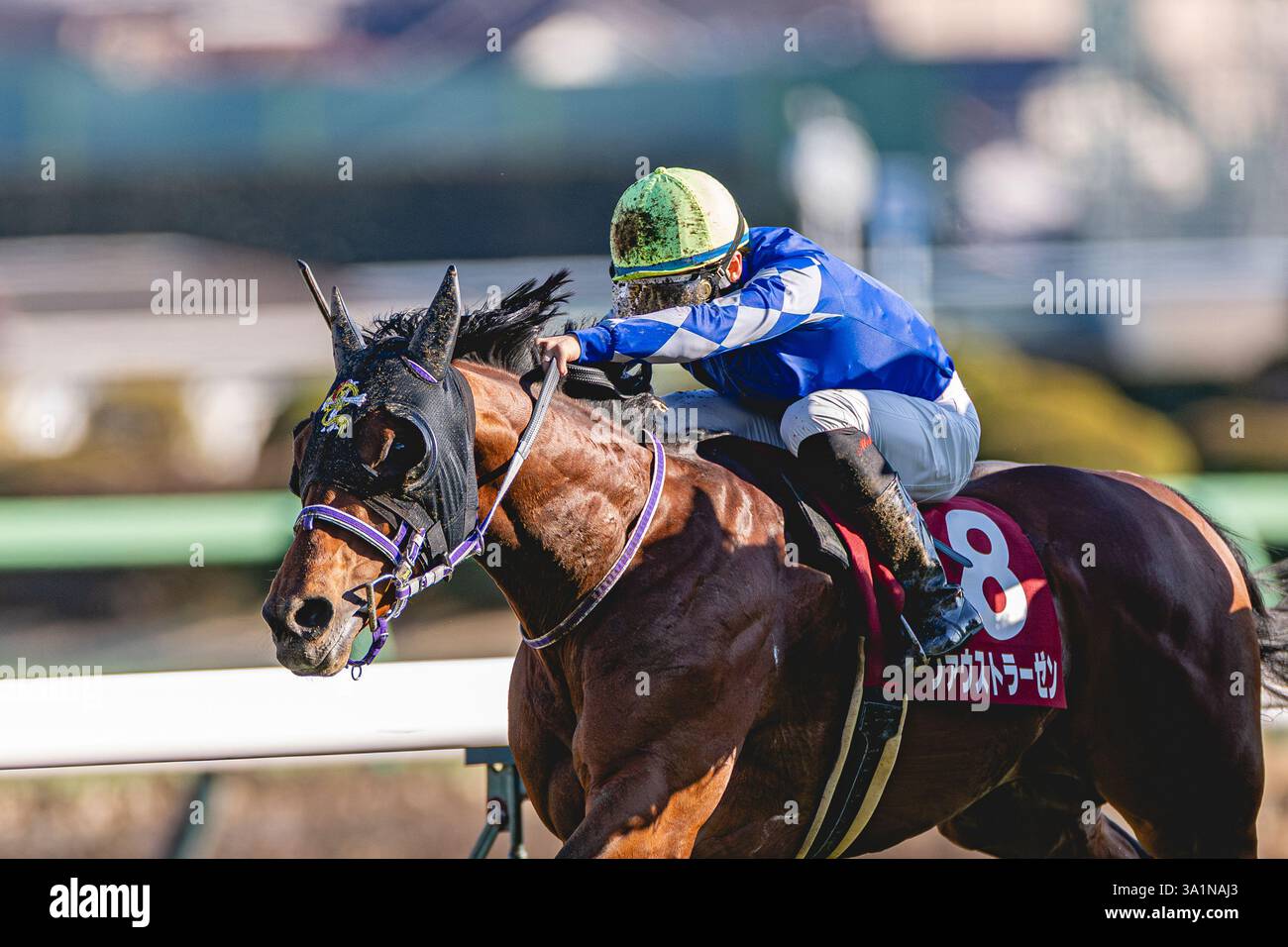 March 9, 2025, Funabashi, Chiba, USA: Faust Rasen (8) ridden by Makoto ...