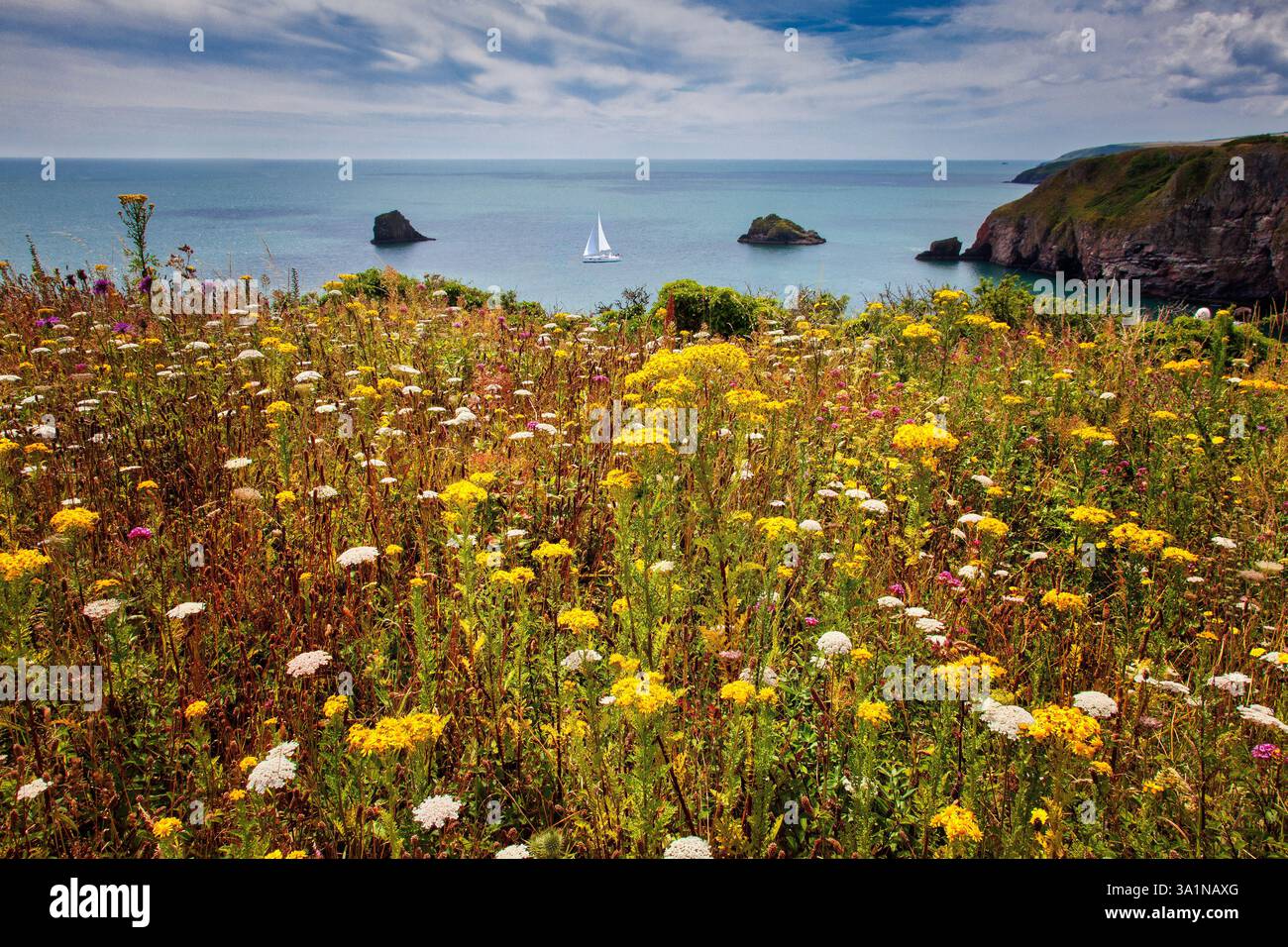 GB - DEVON: View from Berry Head headland near Brixham, West Country Stock Photo