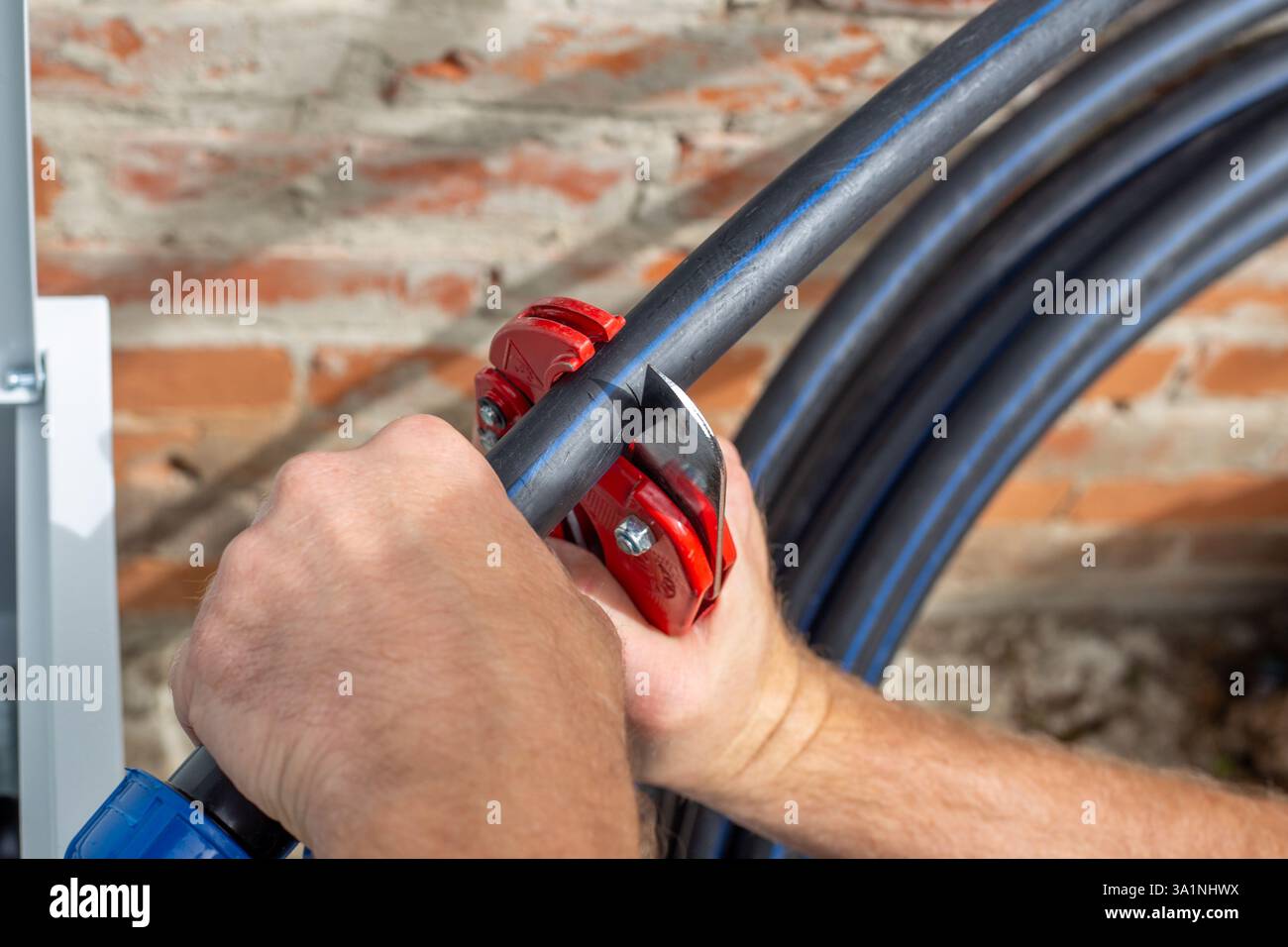 Installation of a drip irrigation system for a garden. A man cuts a ...
