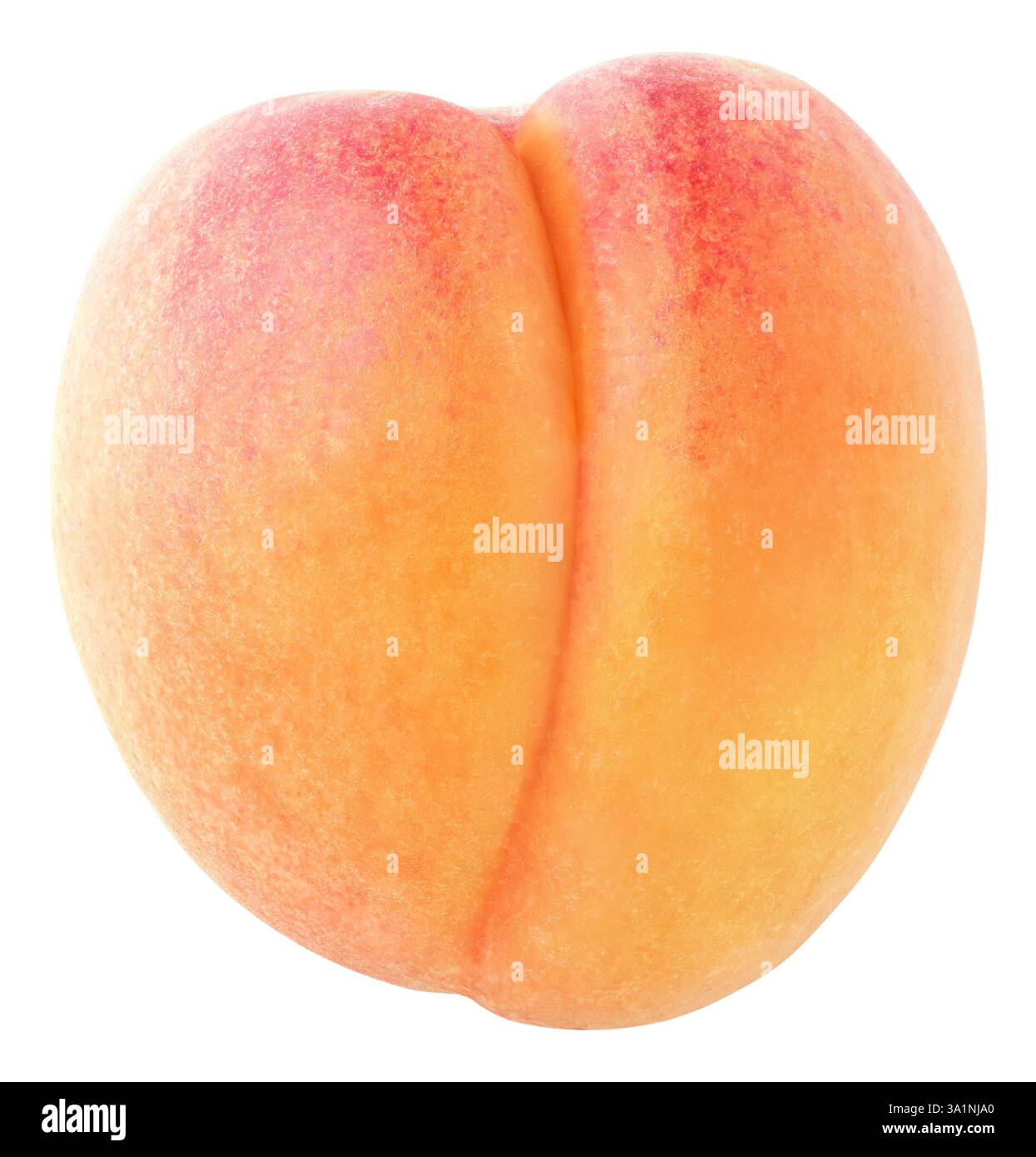 Isolated apricot fruit on white background Stock Photo