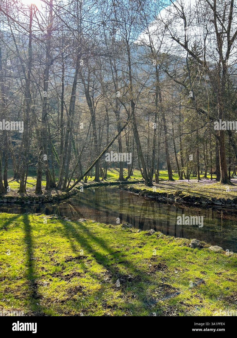Two small rivers gracefully merge, creating a serene confluence surrounded by a lush green meadow - Smartphone Captured Stock Image