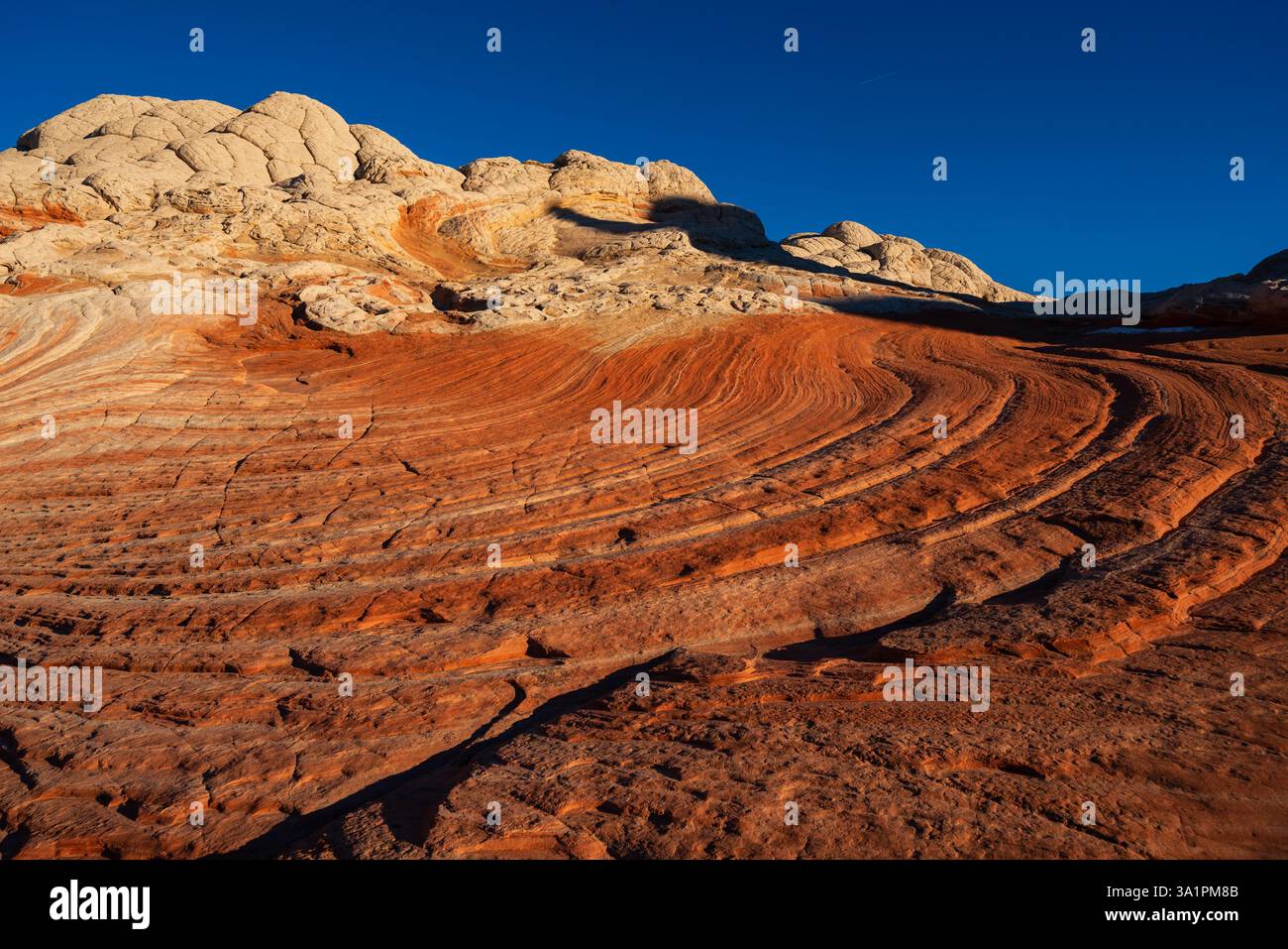 Exploring White Pocket in the Vermilion Cliffs National Monument ...