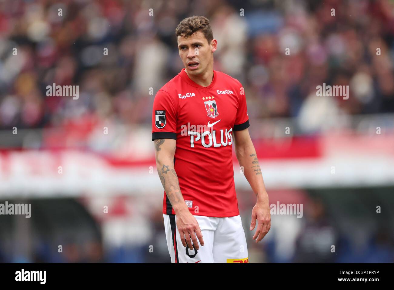 Matheus savio hi-res stock photography and images - Alamy
