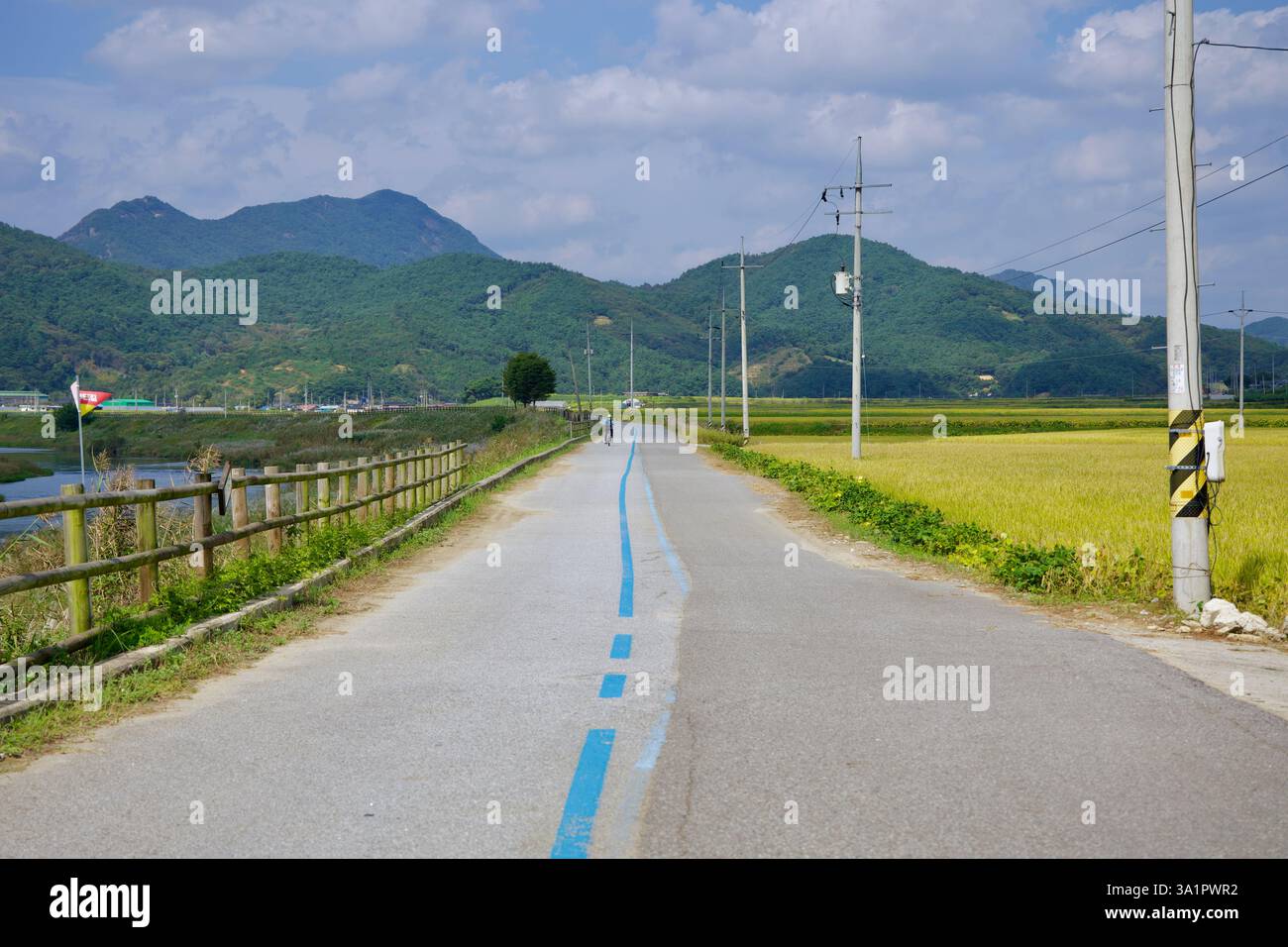 Sunchang County, South Korea - October 4, 2021: A lone cyclist rides along the Seomjingang Bike Path, passing rice fields and a wooden fence lining th Stock Photo