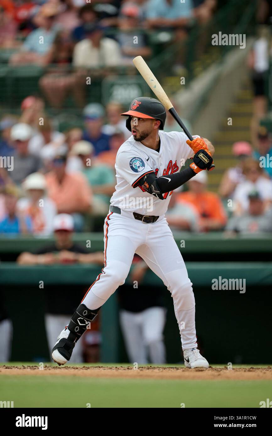 Baltimore Orioles Livan Soto (73) at bat during an MLB Spring Training ...