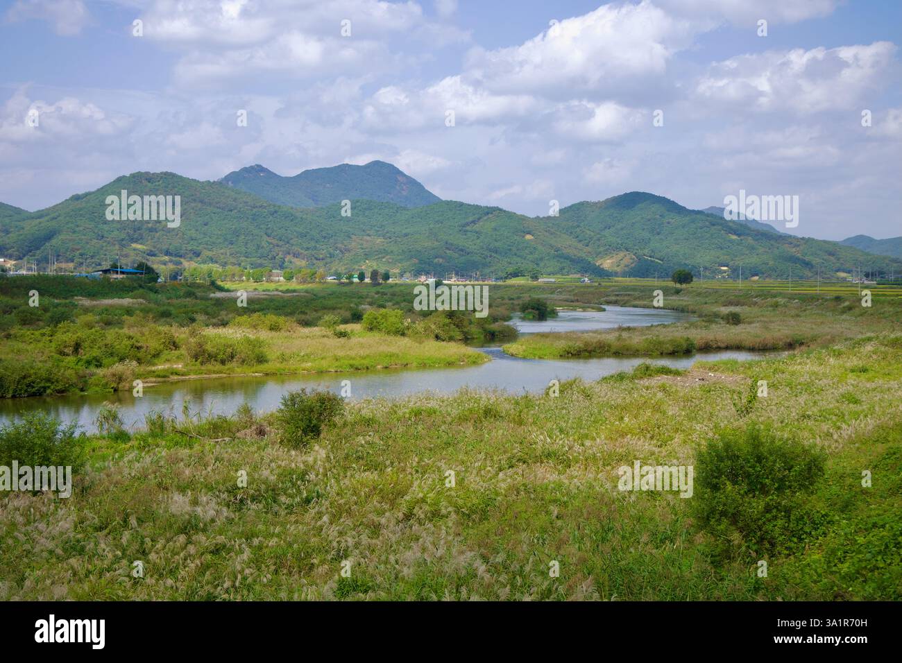 Sunchang County, South Korea - October 4, 2021: The Seomjin River meanders through lush wetlands, with tall reeds and grasses swaying under a partly c Stock Photo
