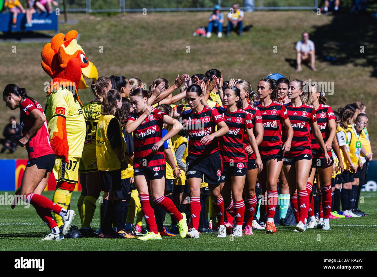 Wellington, New Zealand, 9 March, 2025. The Western Sydney Wanderers