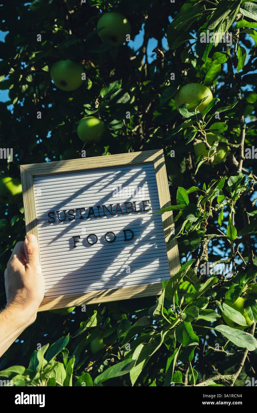 Letter board with text SUSTAINABLE FOOD on background of garden apples ...