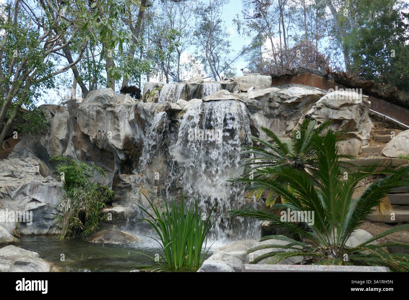 Curated visual reference: Cockatoo Aviary With Waterfall Reference: Los Angeles California Usa 7Th March 2025 Waterfall In Aviary