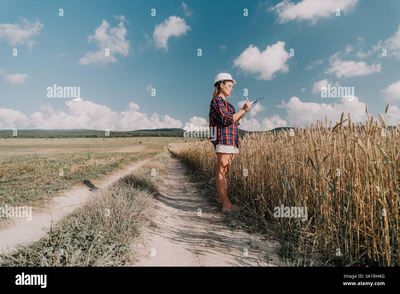 Golden wheat field note hi-res stock photography and images - Alamy