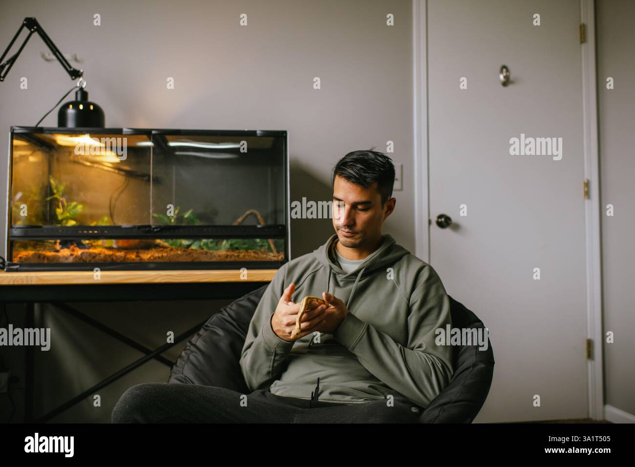 Young man holding an albino ball python in room with reptile habitat ...