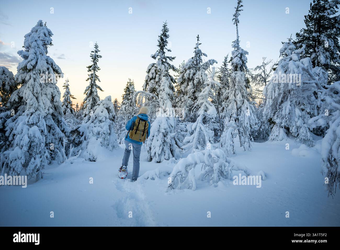 Woman walks in snowshoes snow hi-res stock photography and images - Alamy