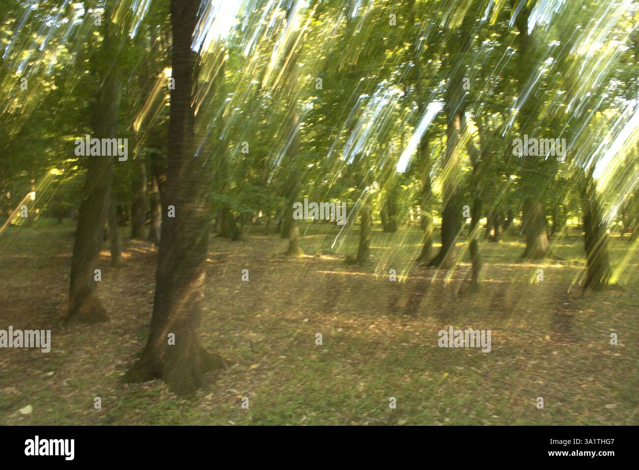Photographic effect hi-res stock photography and images - Alamy