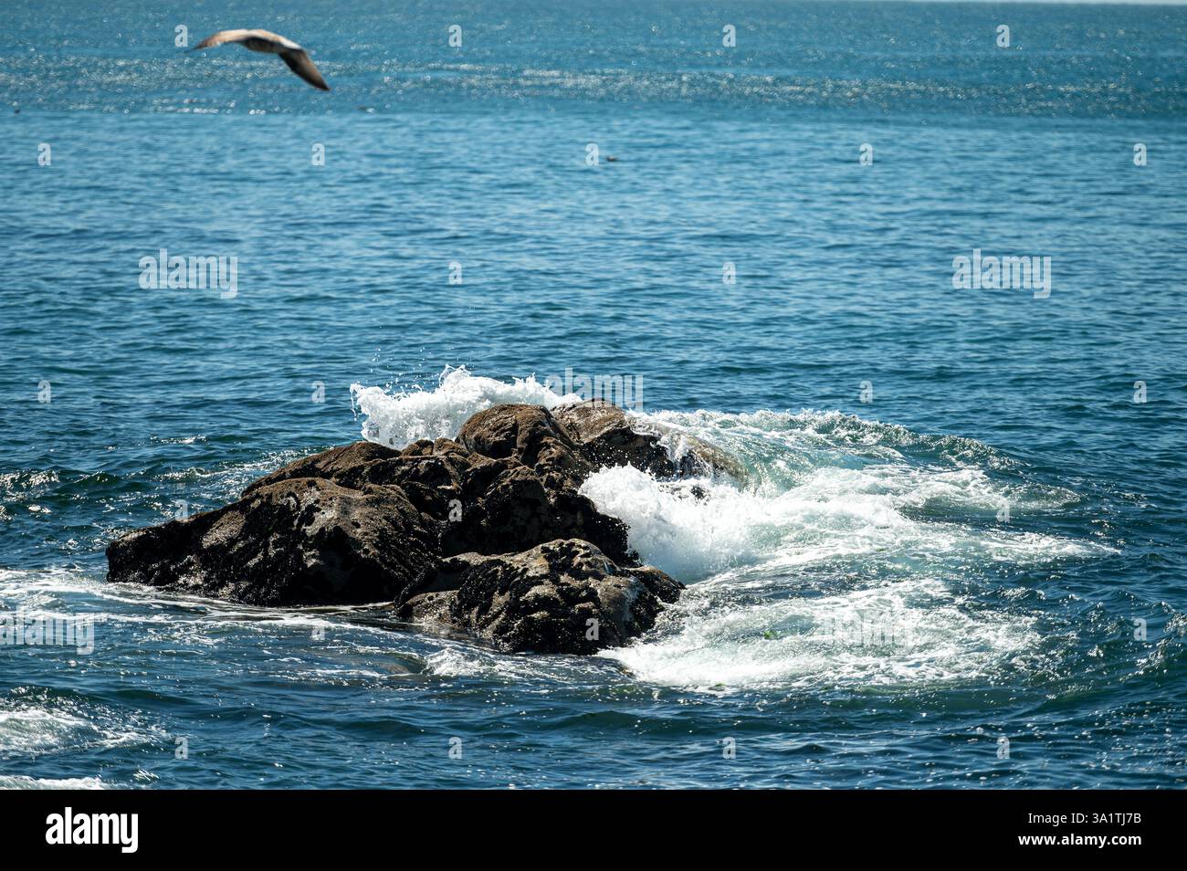 Waves surge around a rocky formation while a bird glides above the clear blue water. Stock Photo