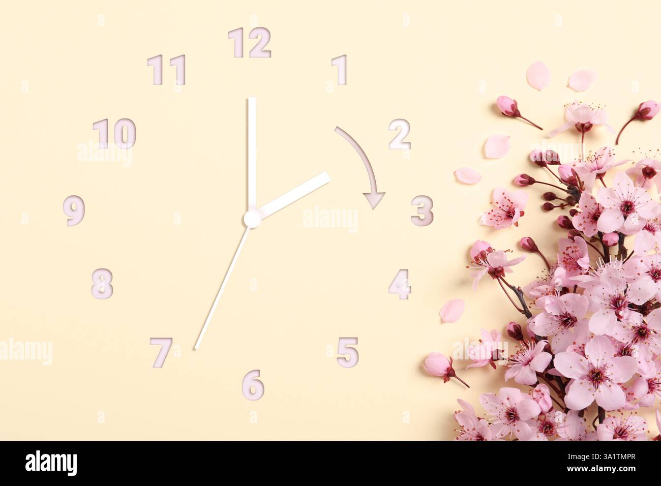 Clock and blossoming branch with pink flowers on beige background, top ...
