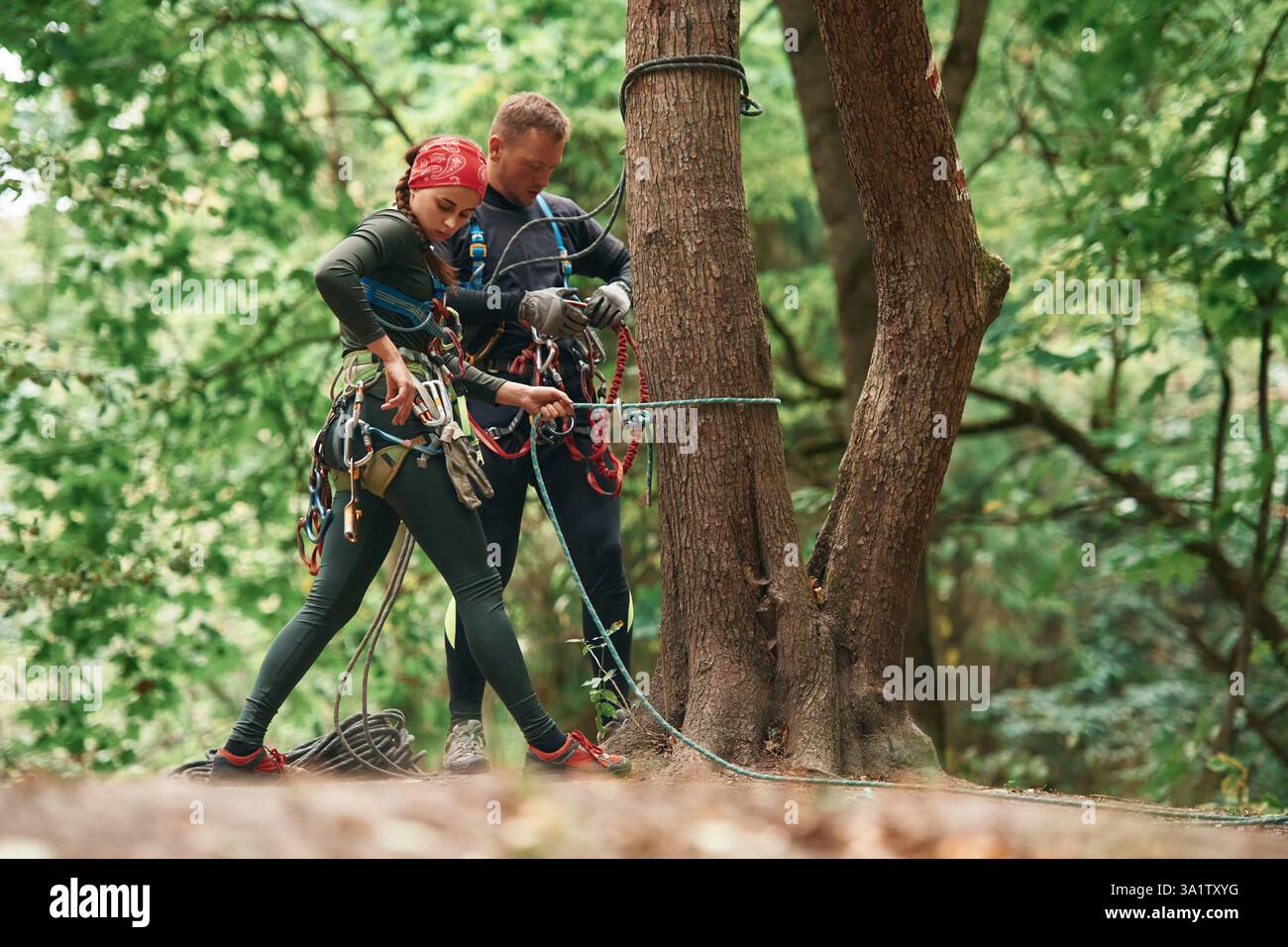 Climbing With Ropes Setting up the ropes. Man and woman doing climbing in forest with use ...