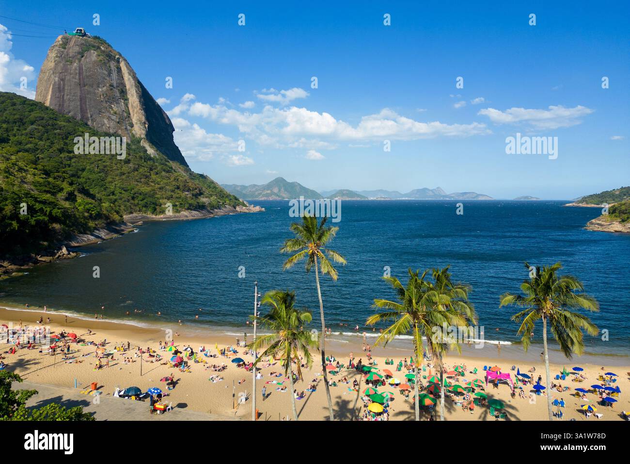 Aerial View of Praia Vermelha Beach With Palm Trees and Sugarloaf