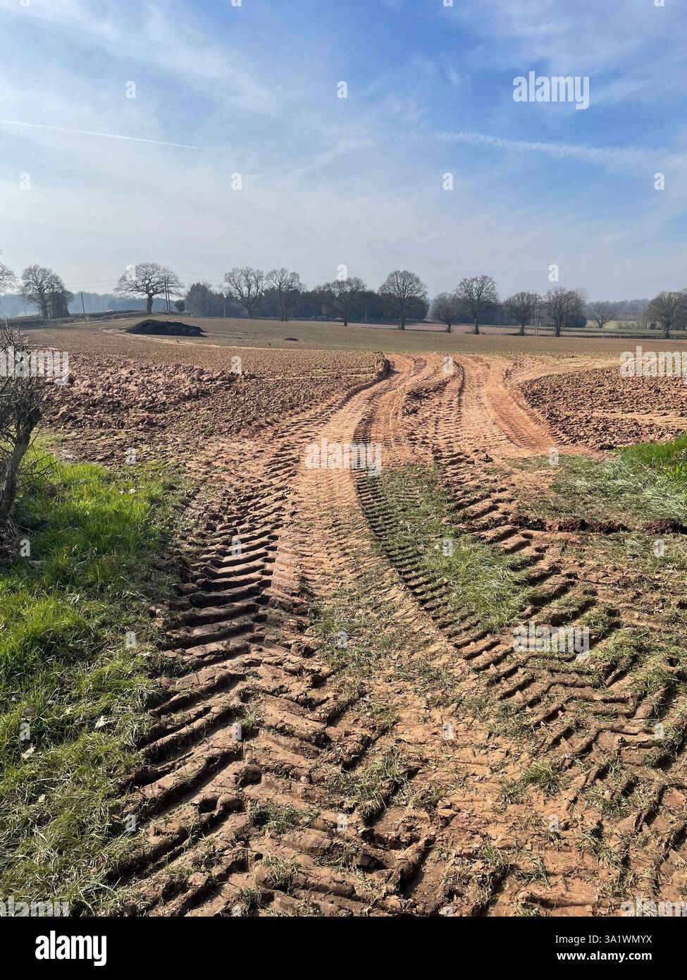 Tractor tracks in a field - Smartphone Captured Stock Image