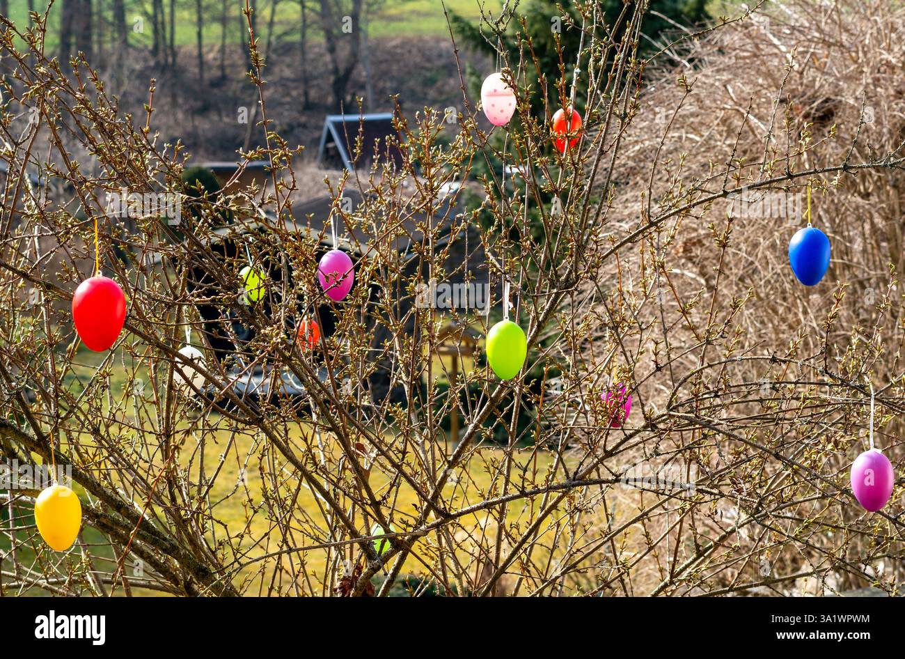 Colorful Easter eggs move on a bush in spring 4k Stock Photo