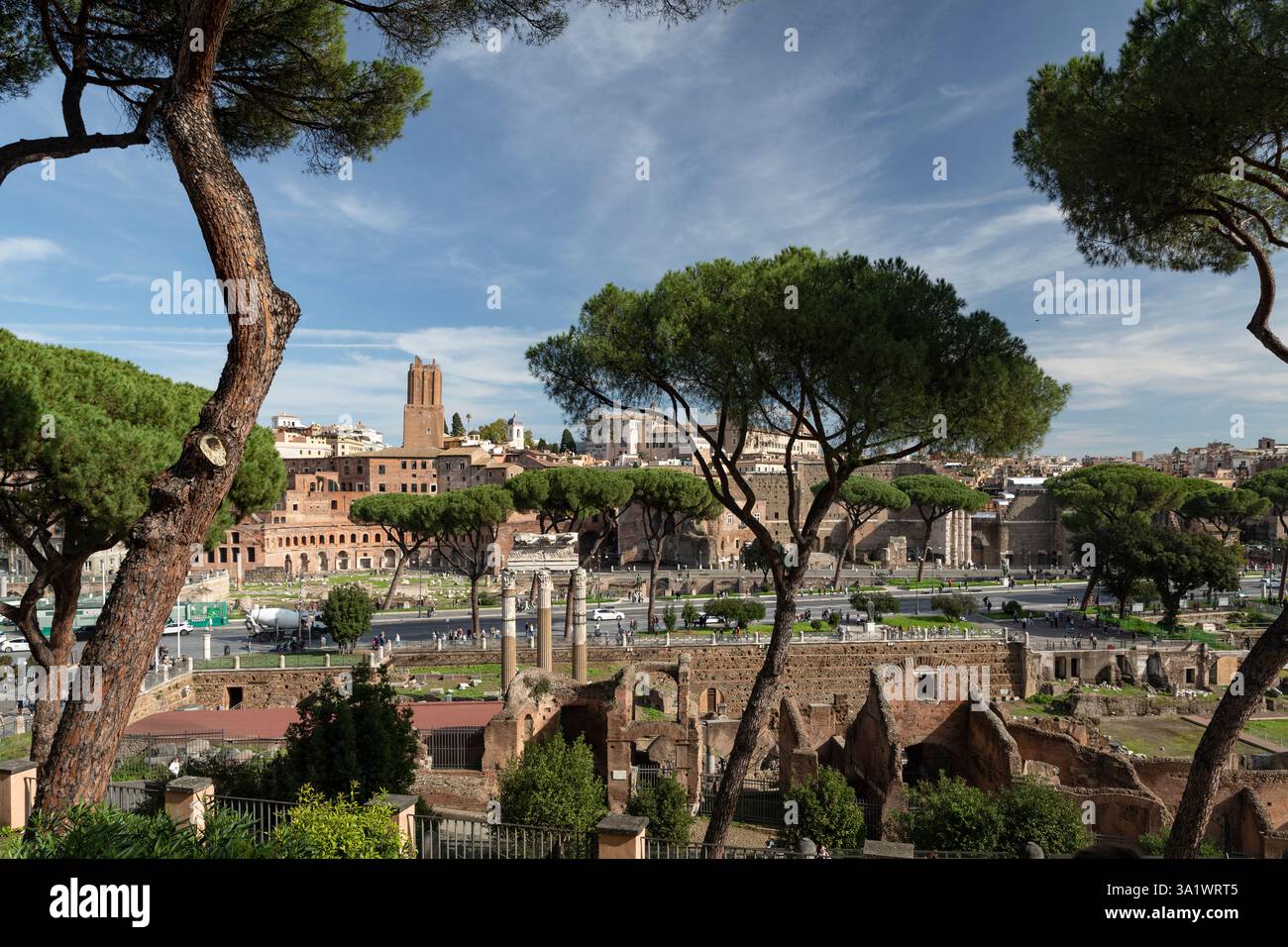 Iconic roman pine tree hi-res stock photography and images - Alamy