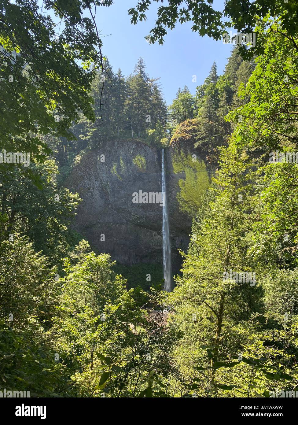 Tall waterfall cascading down a lush green cliffside in a forest - Smartphone Captured Stock Image