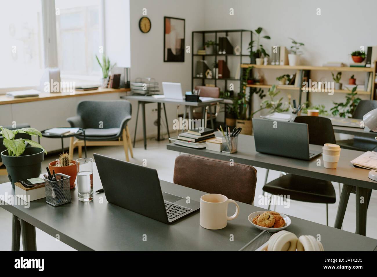 Medium shot of clean workplaces with digital devices, office made in minimalist style and decorated with houseplants Stock Photo