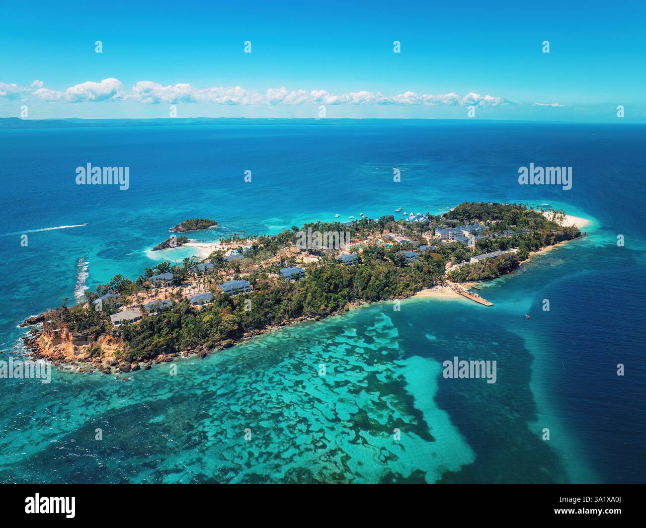 Video aerial view palm trees hi-res stock photography and images - Alamy