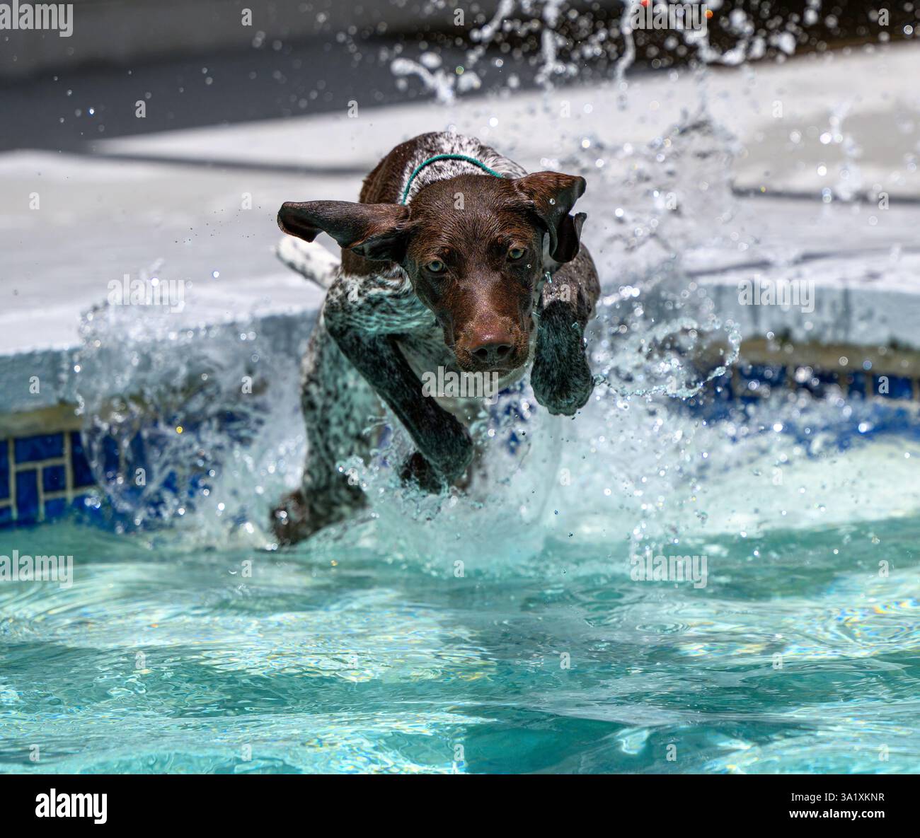She walks on water Stock Photo