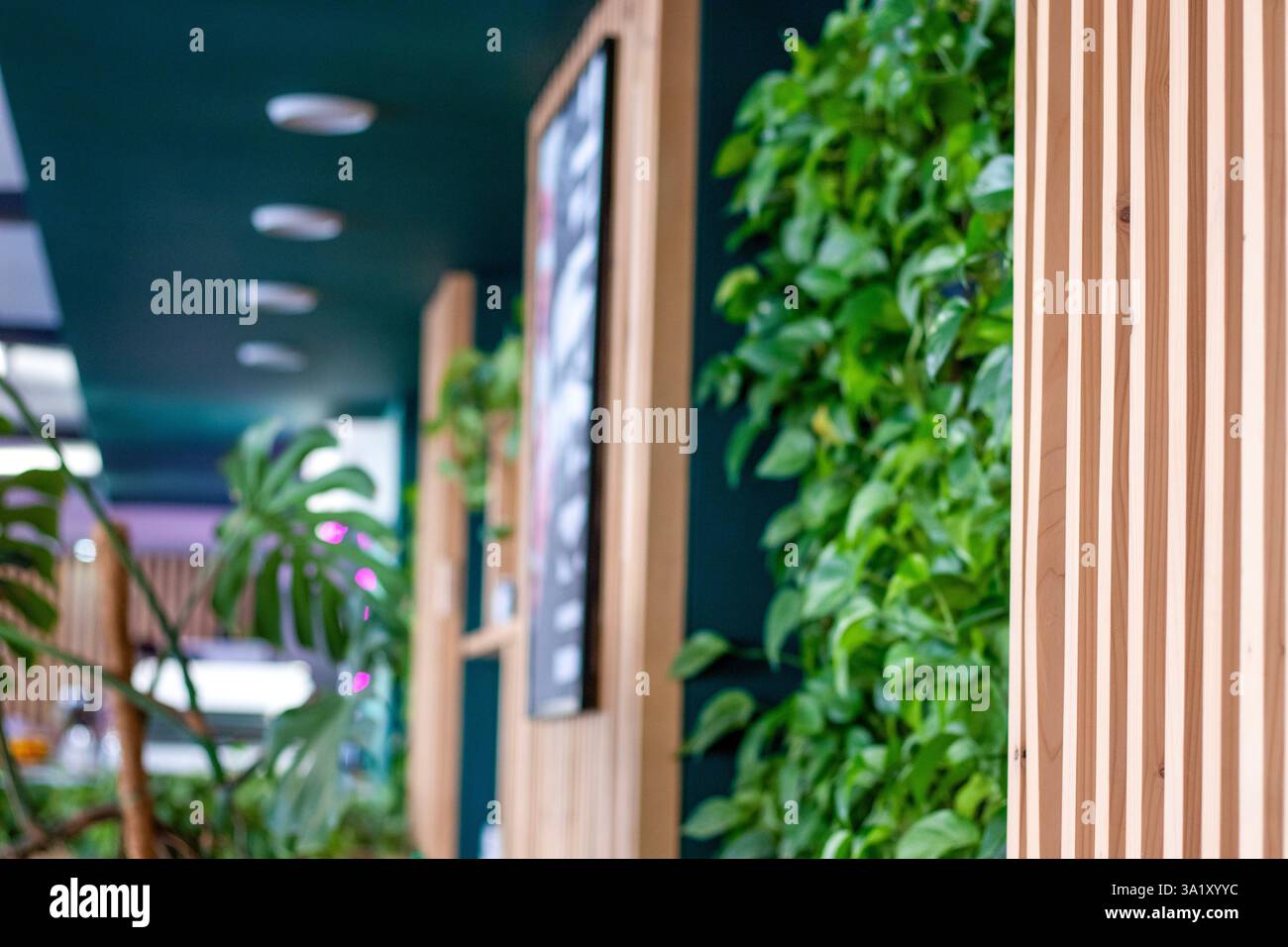 Eco-friendly interior space with modern wooden panels and green plant ...
