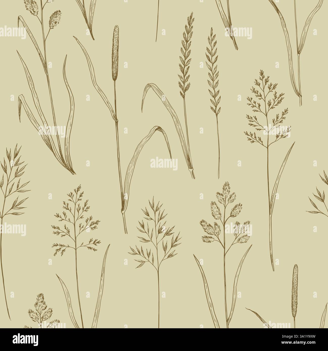 Seamless pattern with meadow grass. Ink drawing of wild cereals. Vector ...