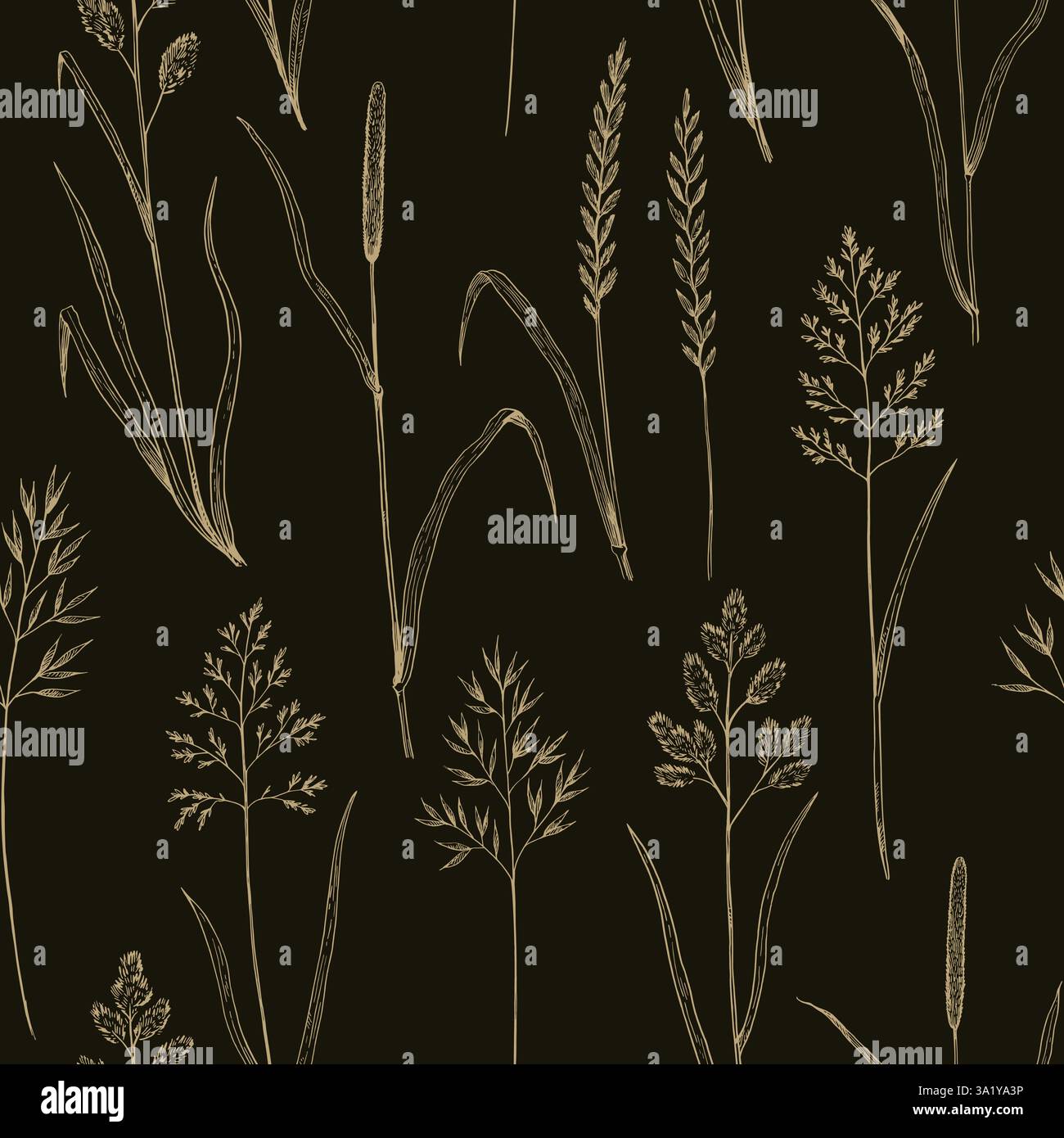 Seamless pattern with meadow grass. Ink drawing of wild cereals. Vector ...