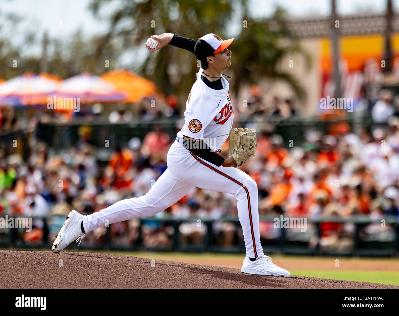 Cade Povich South Florida The Ripple Effect on the Miami Rotation