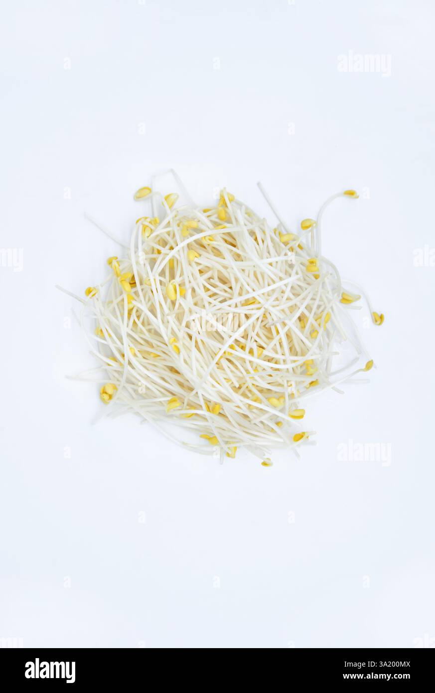 Bean sprouts on a white background Stock Photo