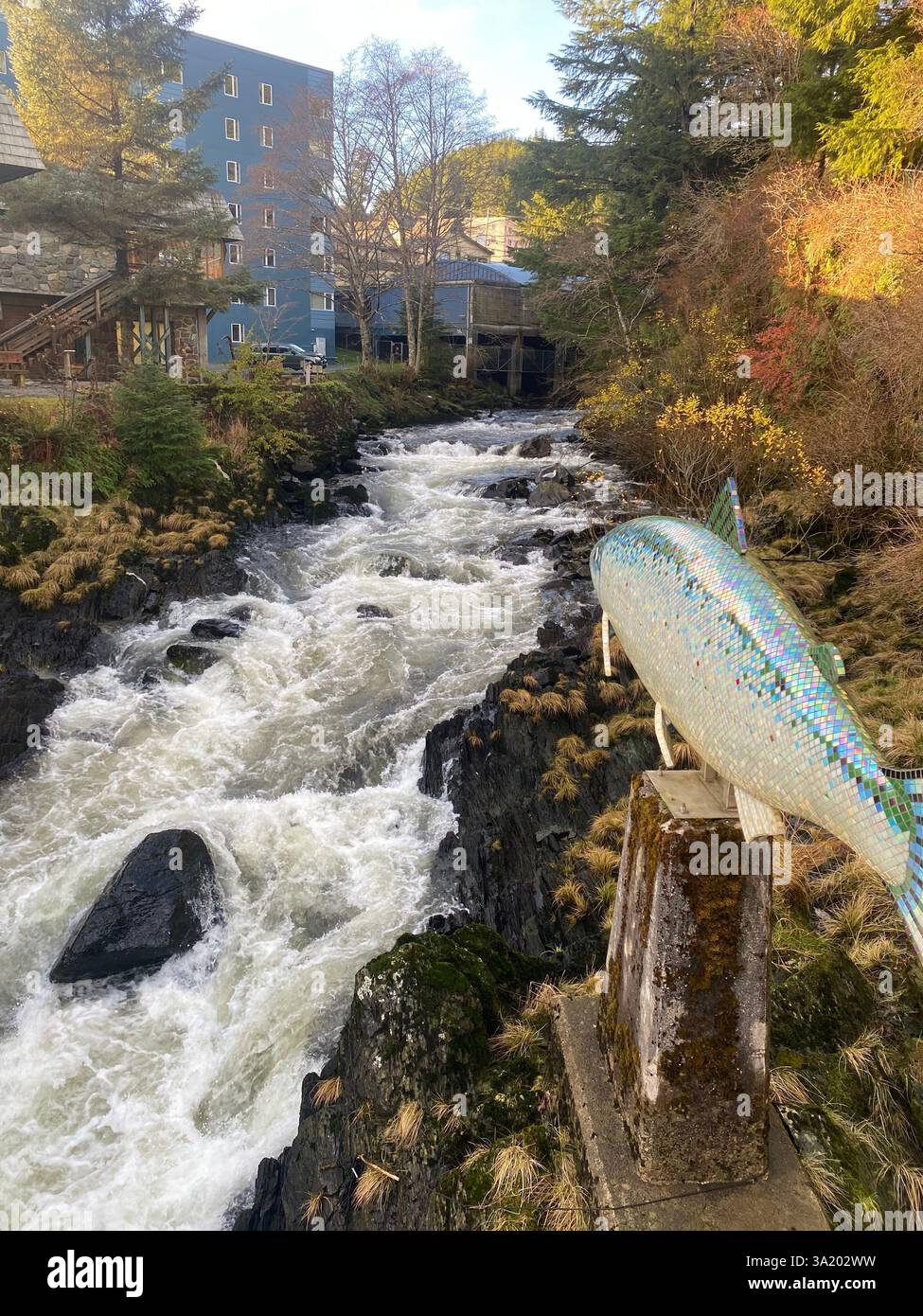 Ketchikan Stream - Smartphone Captured Stock Image