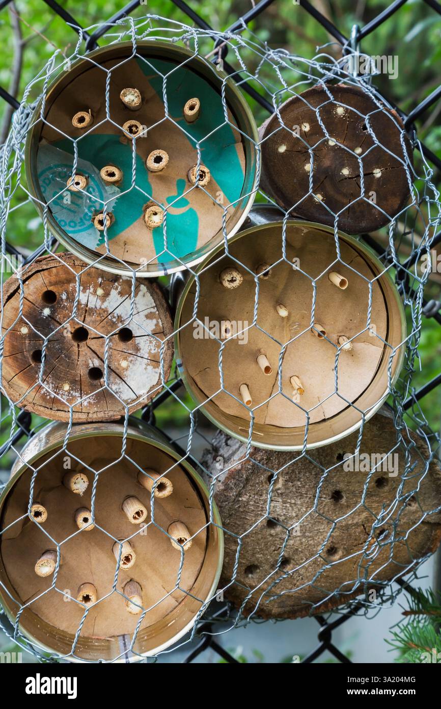 Wire Eating Insect Protected by chickenwire hi-res stock photography and images - Alamy
