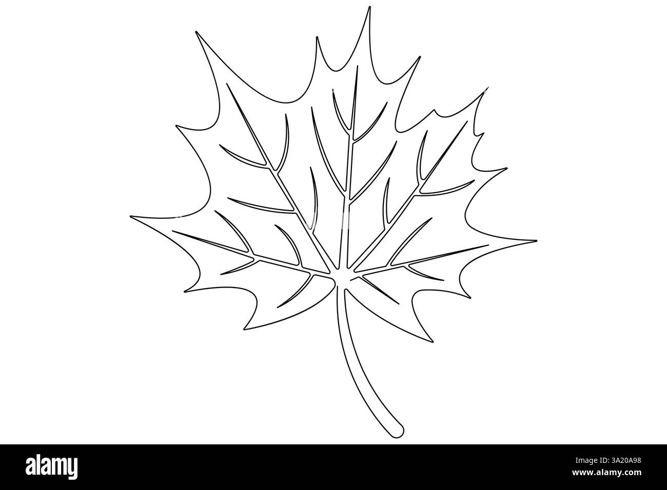 Continuous one line art drawing maple leaf botanical decorative symbol ...