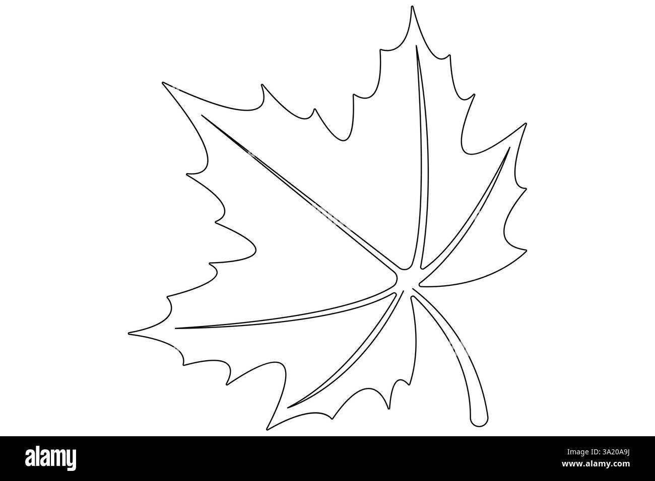 Continuous one line art drawing maple leaf botanical decorative symbol ...
