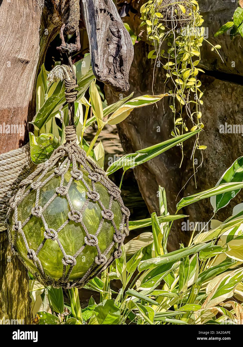 Hanging Green Glass Float Wrapped in a Rope Net 3 A green glass float encased in a rope net, hanging from a weathered piece of wood. Surrounded by tro - Smartphone Captured Stock Image