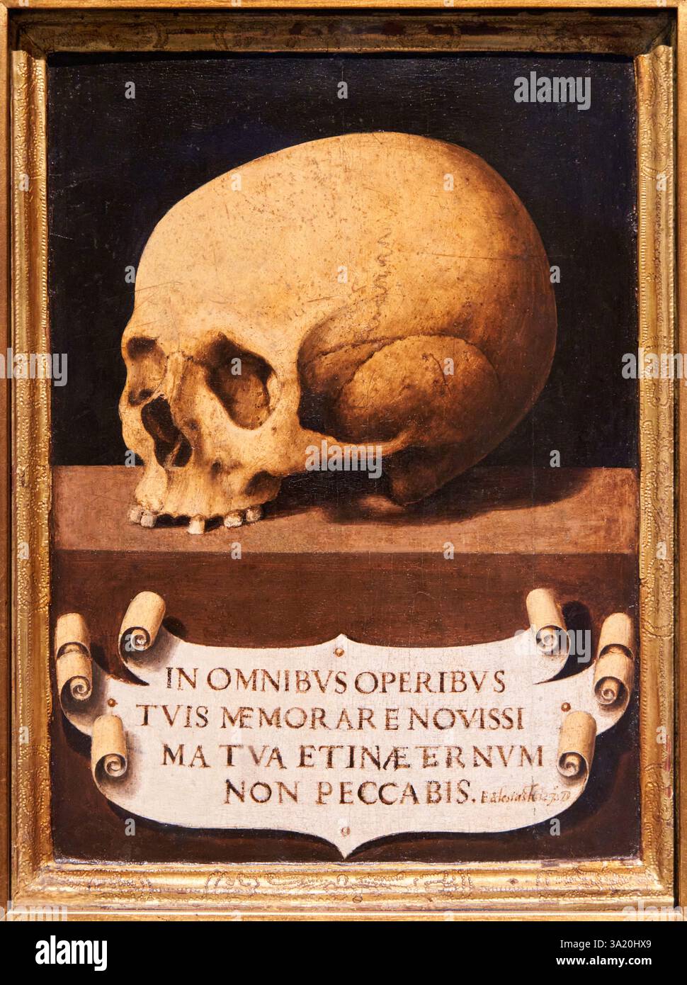 Memento mori skull hi-res stock photography and images - Alamy