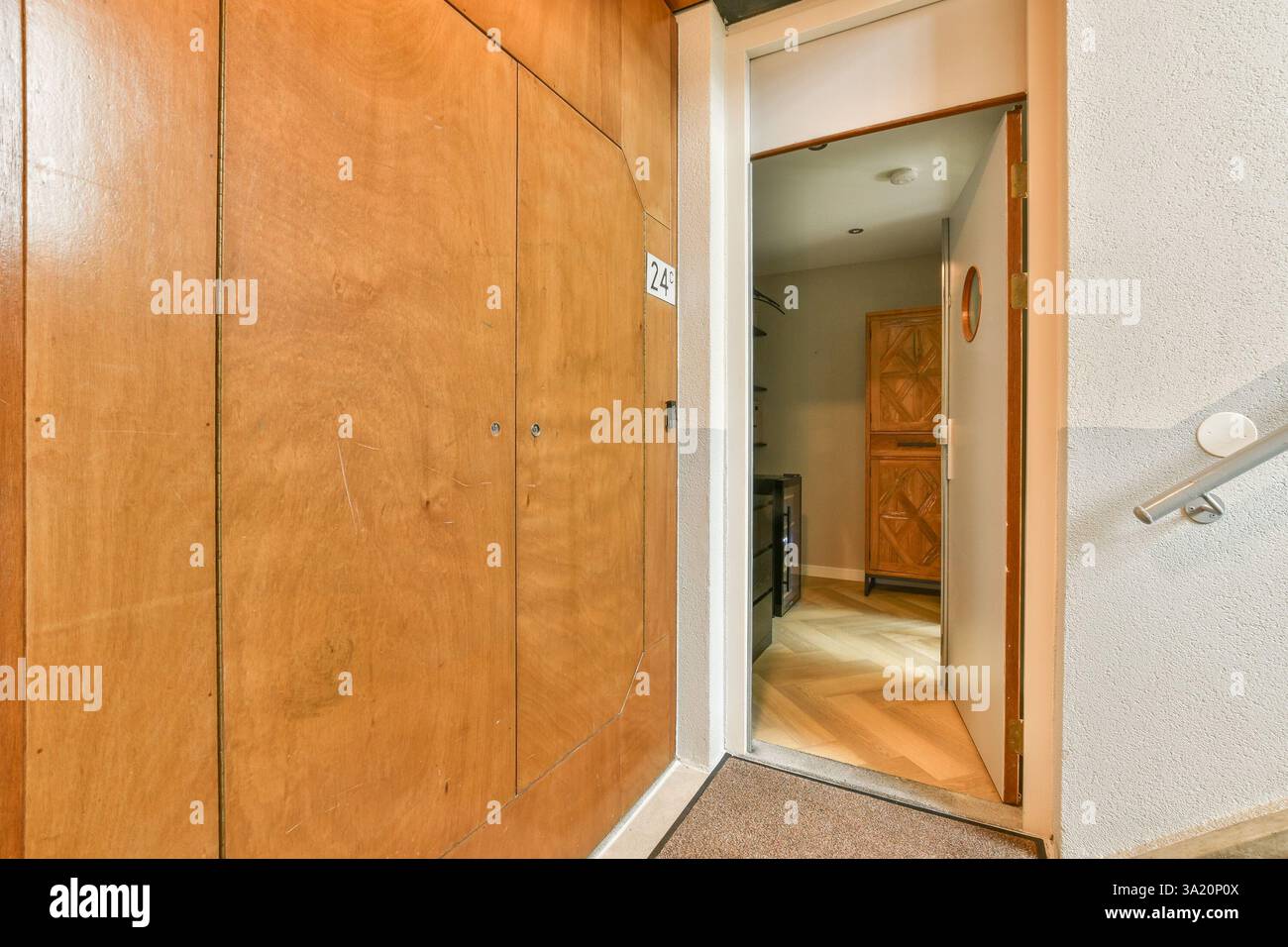 A stylish entrance featuring a wooden door, minimalistic decor, and ...