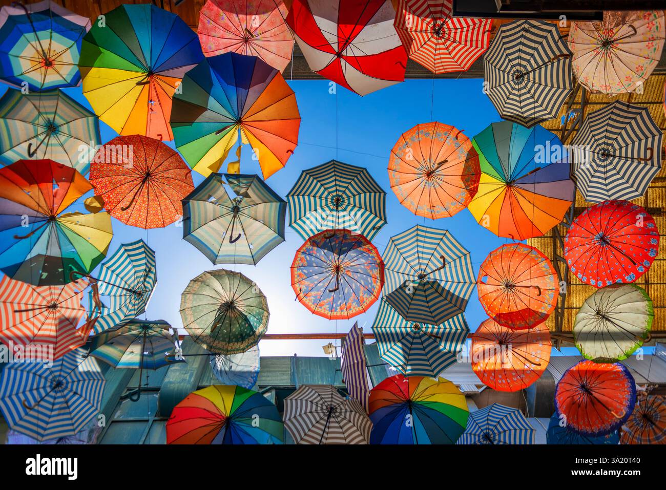 Colorful umbrellas hanging over bazaar, Shiraz, Fars province, Iran Stock Photo